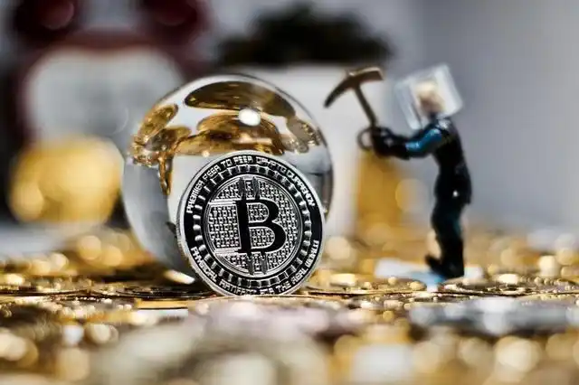 A well-managed mining farm showcasing efficient operations