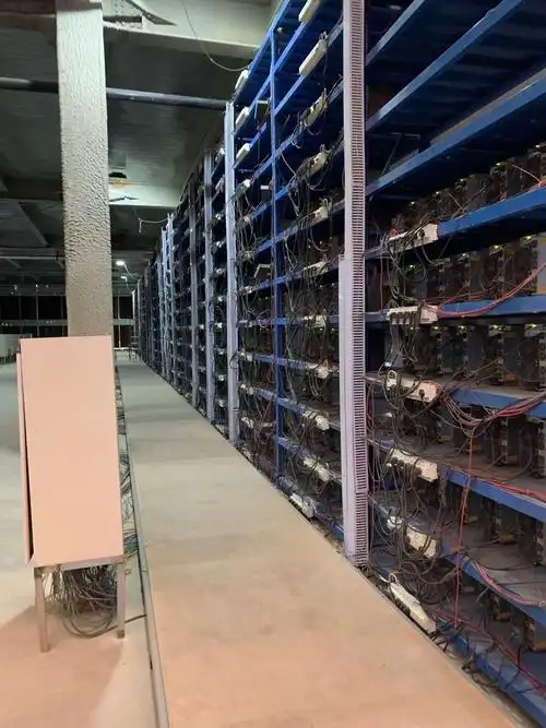 Mining farms provide the infrastructure and environment necessary for large-scale cryptocurrency mining, optimizing cooling and energy efficiency.