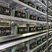 Renewable energy powered mining farm in Brazil