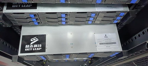 High-performance mining rig operating in a temperature-controlled environment